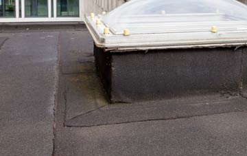 disadvantages of Doomsday Green flat roofs