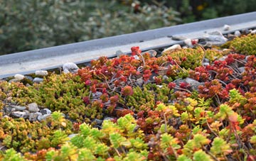 the cost of Doomsday Green green roof installation
