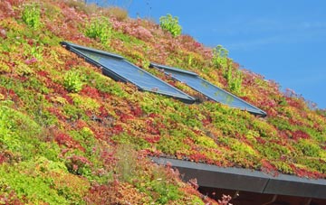 Doomsday Green living roof systems