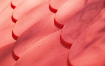 Doomsday Green plastic roof costs