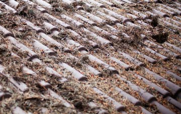 Doomsday Green roof cleaning companies