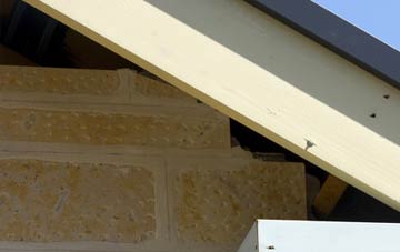 soffit repair Doomsday Green