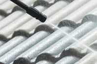 rated Doomsday Green roof cleaning companies